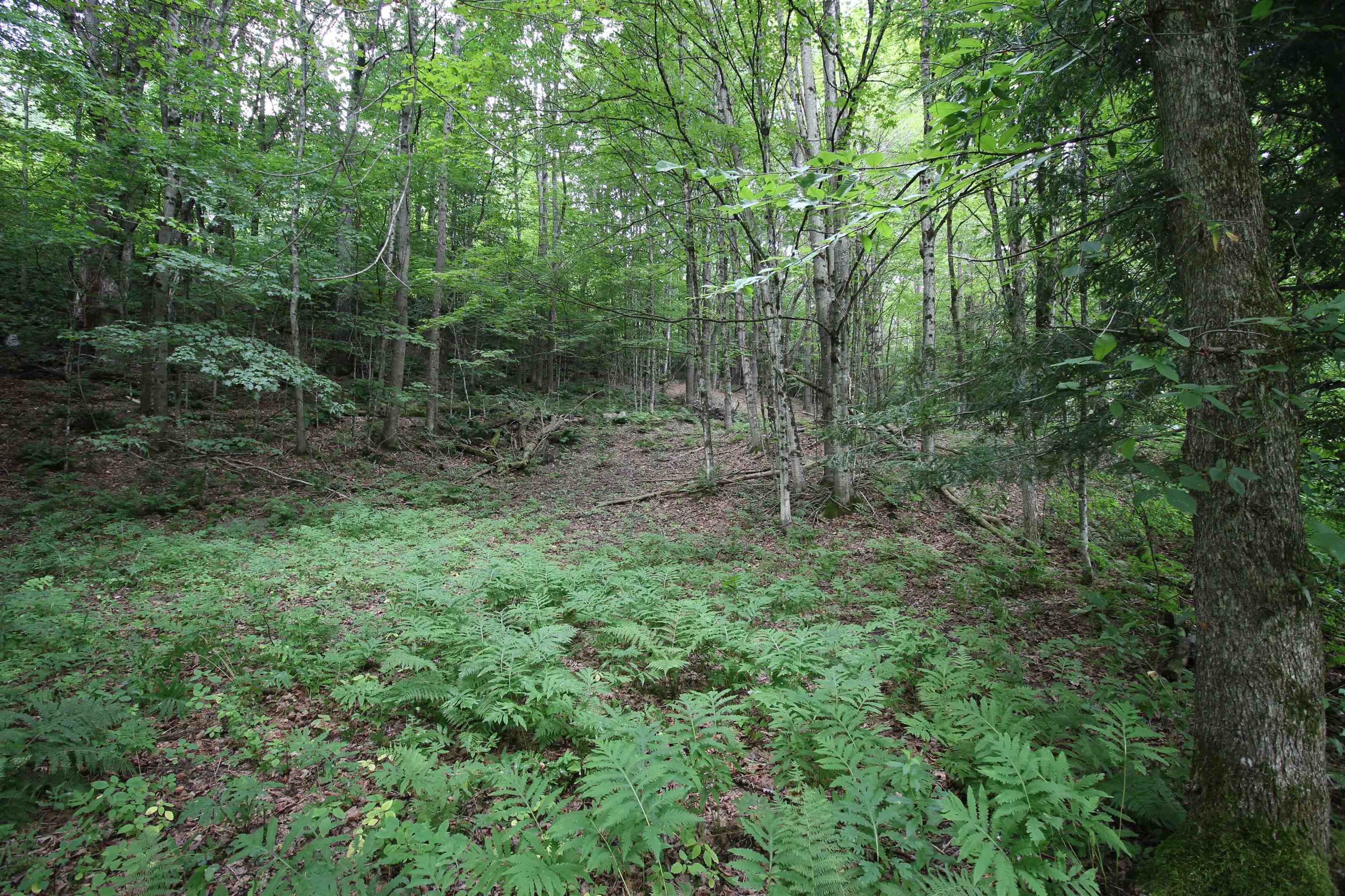 360 Liberty Hill Road