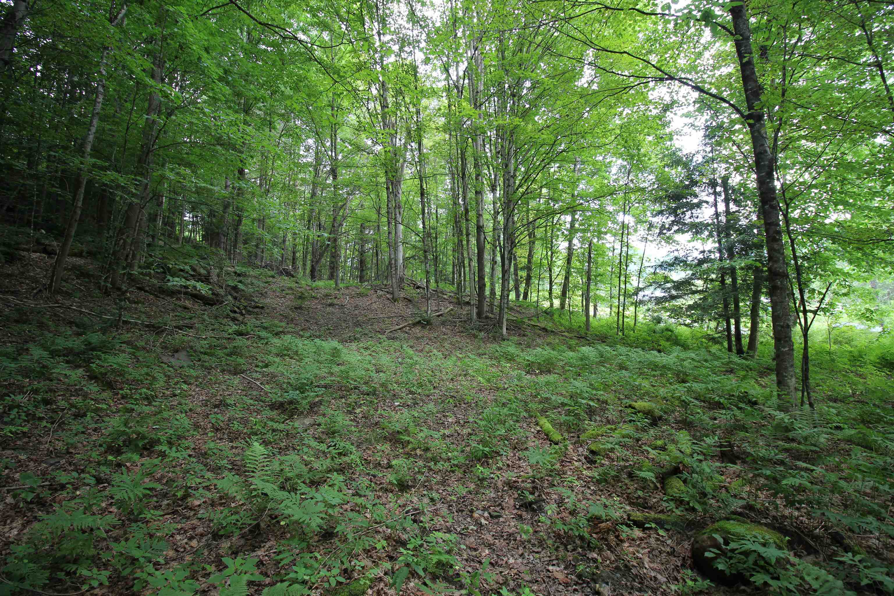 360 Liberty Hill Road