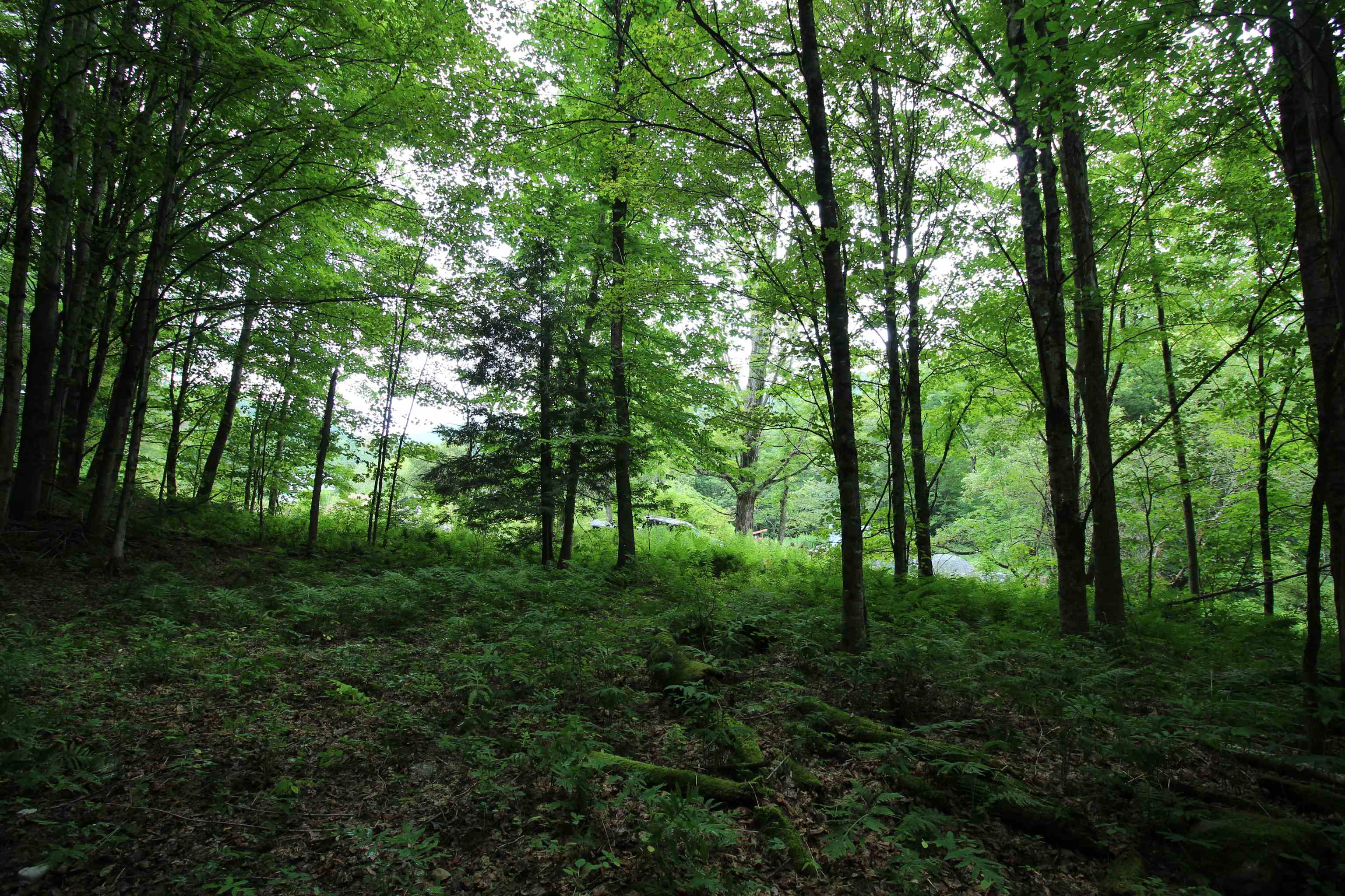 360 Liberty Hill Road