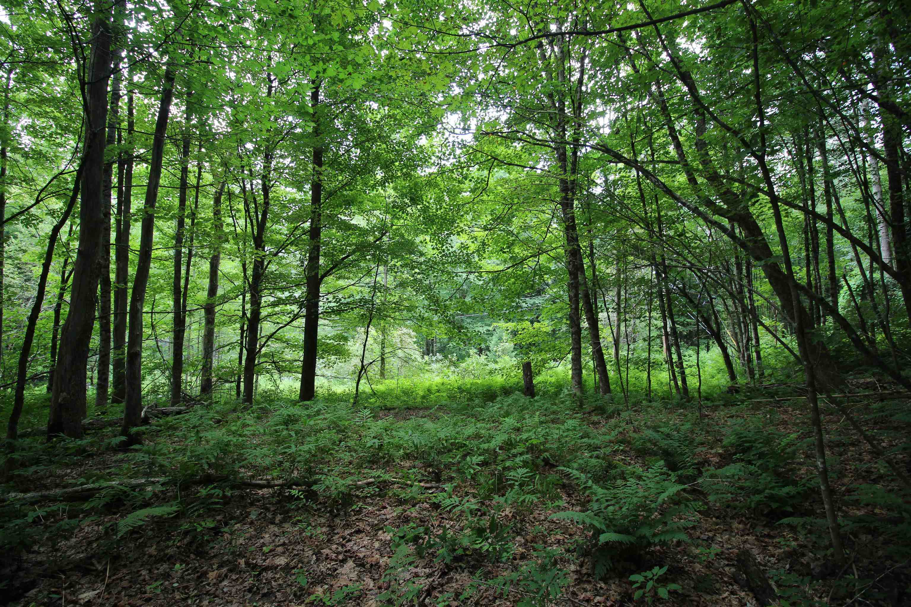 360 Liberty Hill Road