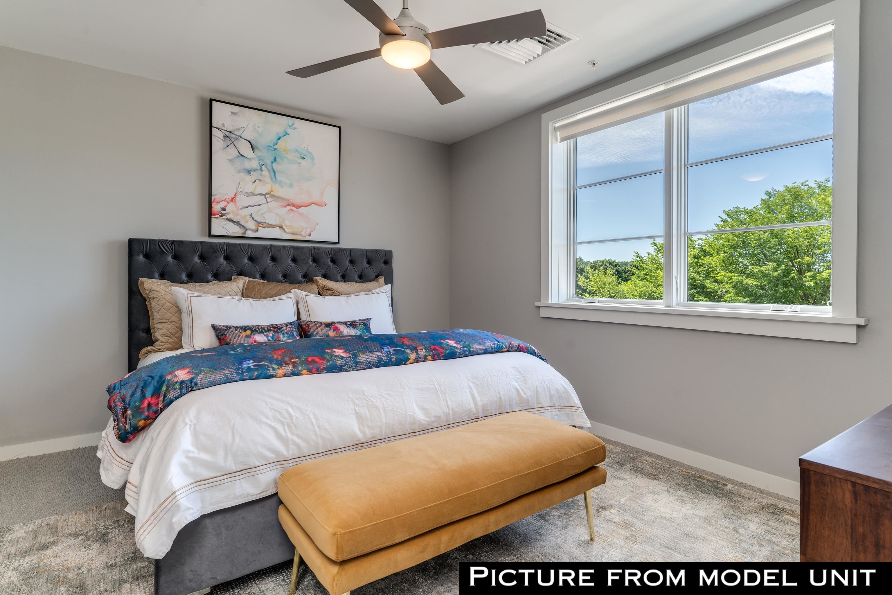 51 Elm Street 303