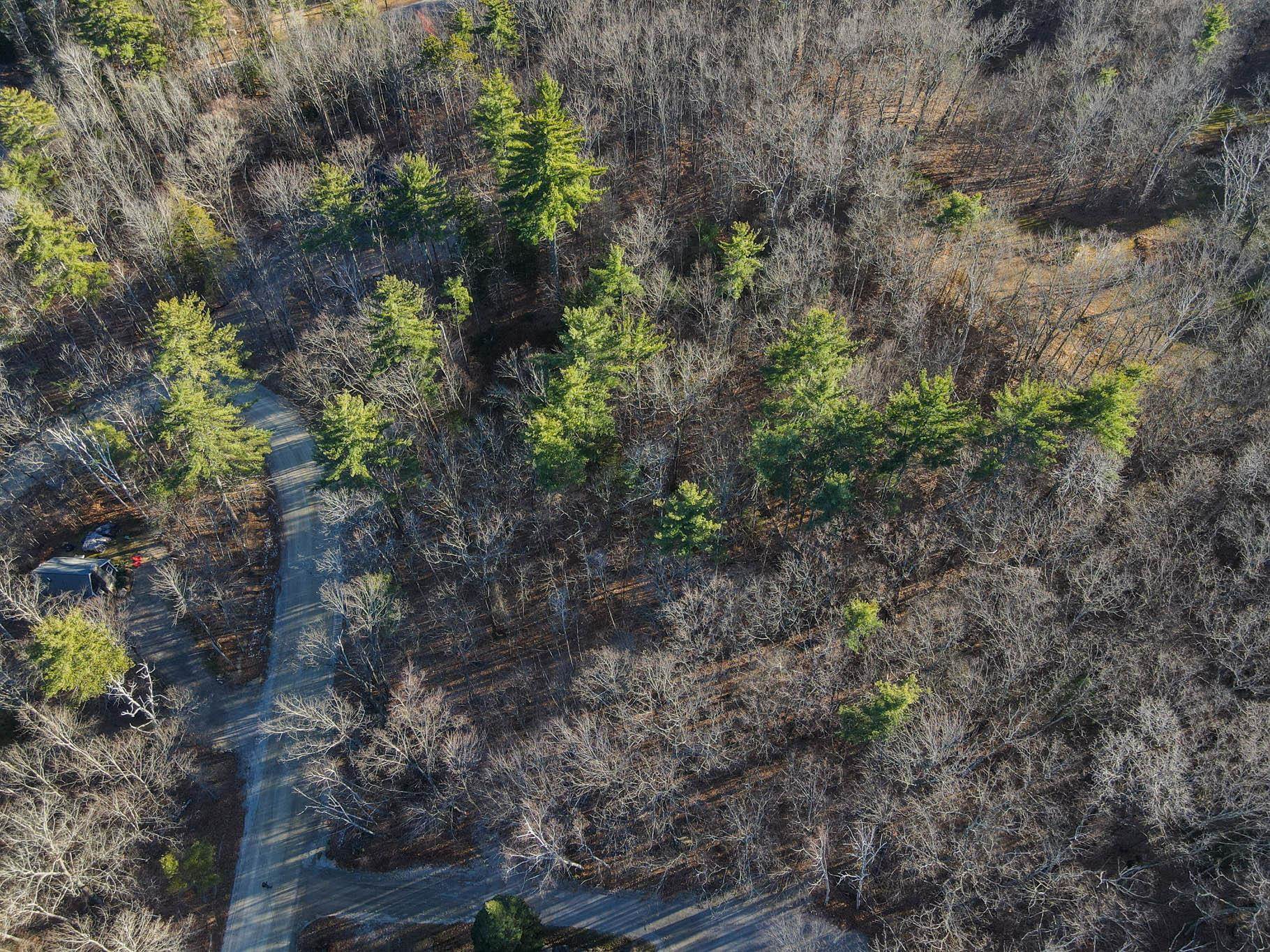 Hemlock Road 40 & 53