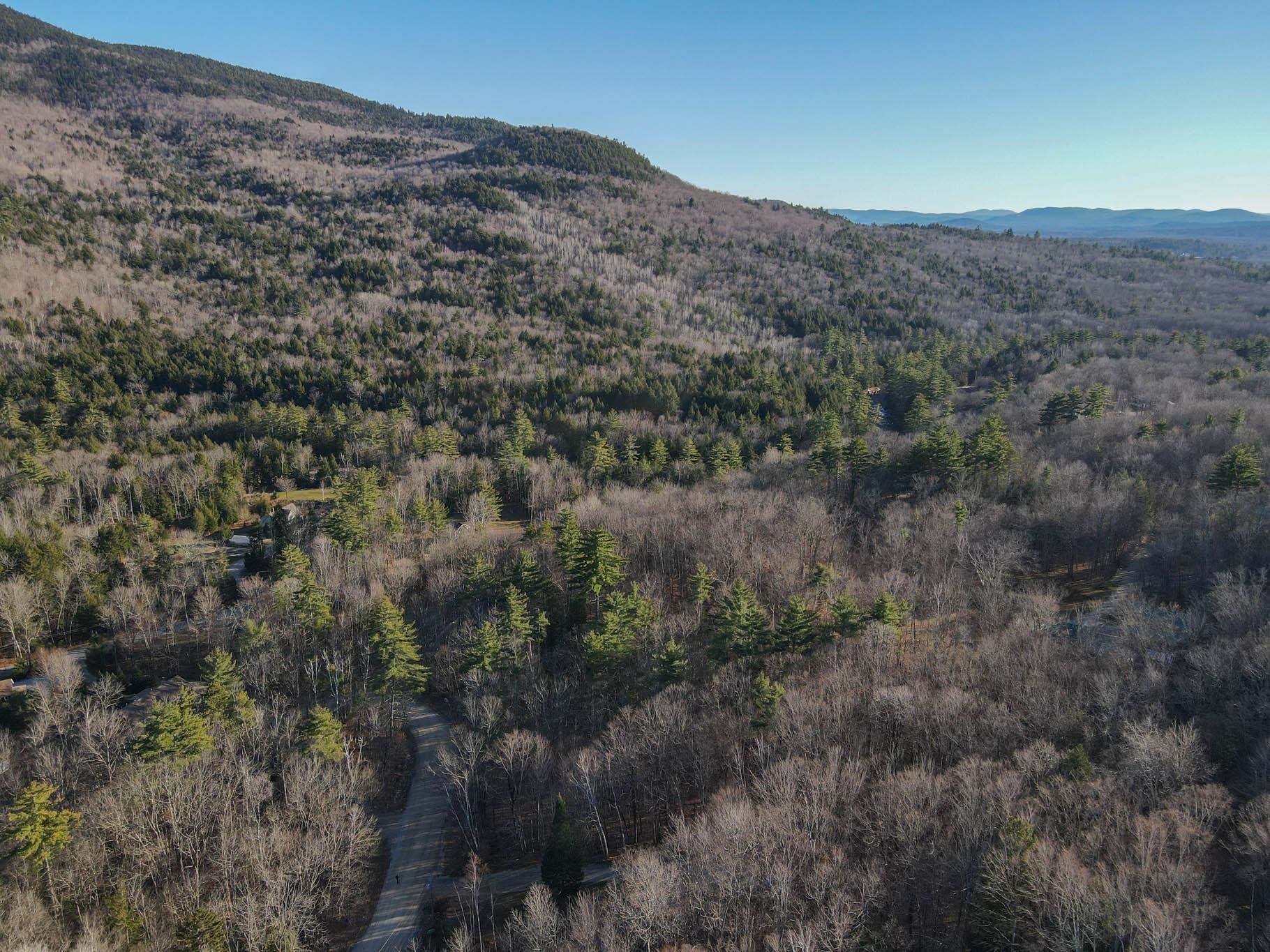 Hemlock Road 40 & 53