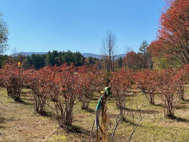 44 Pleasant View Road