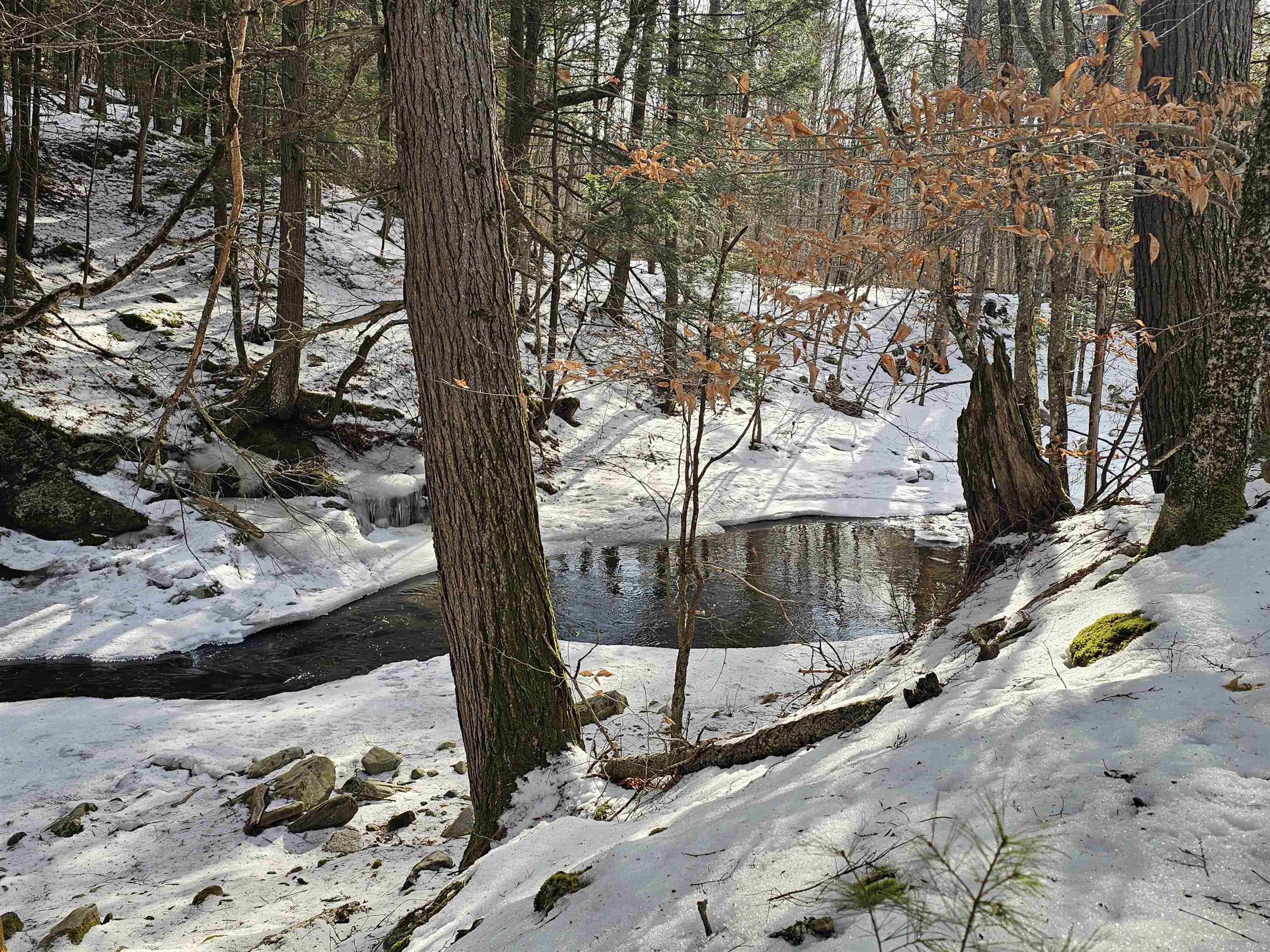 756 Turkey Mountain Road