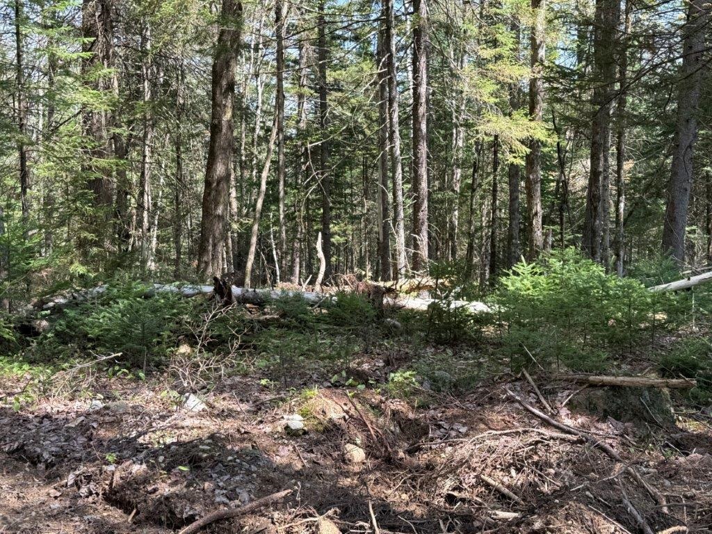 Lot 3 NH Route 4A
