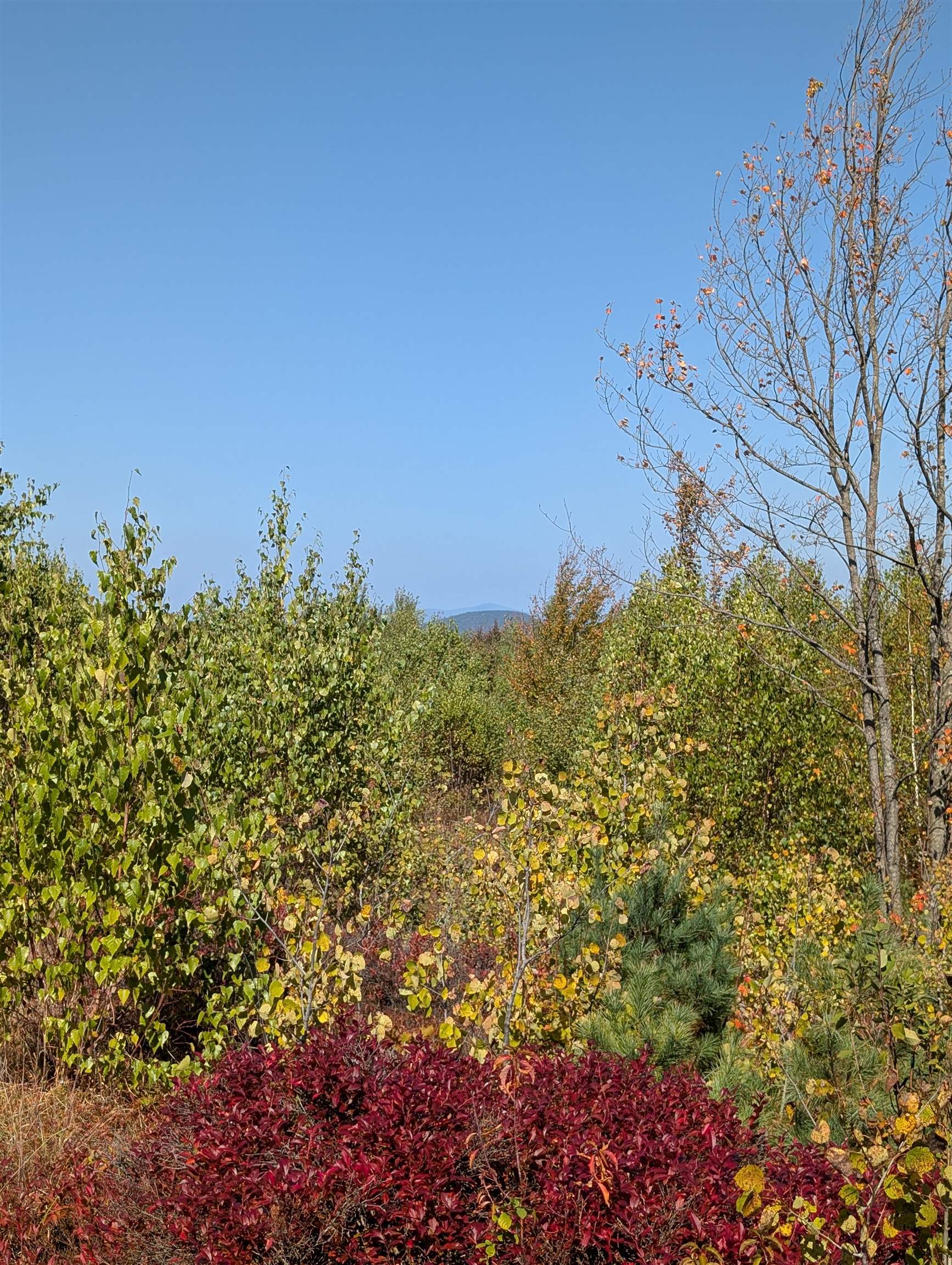 Lot 3 Ridge Road