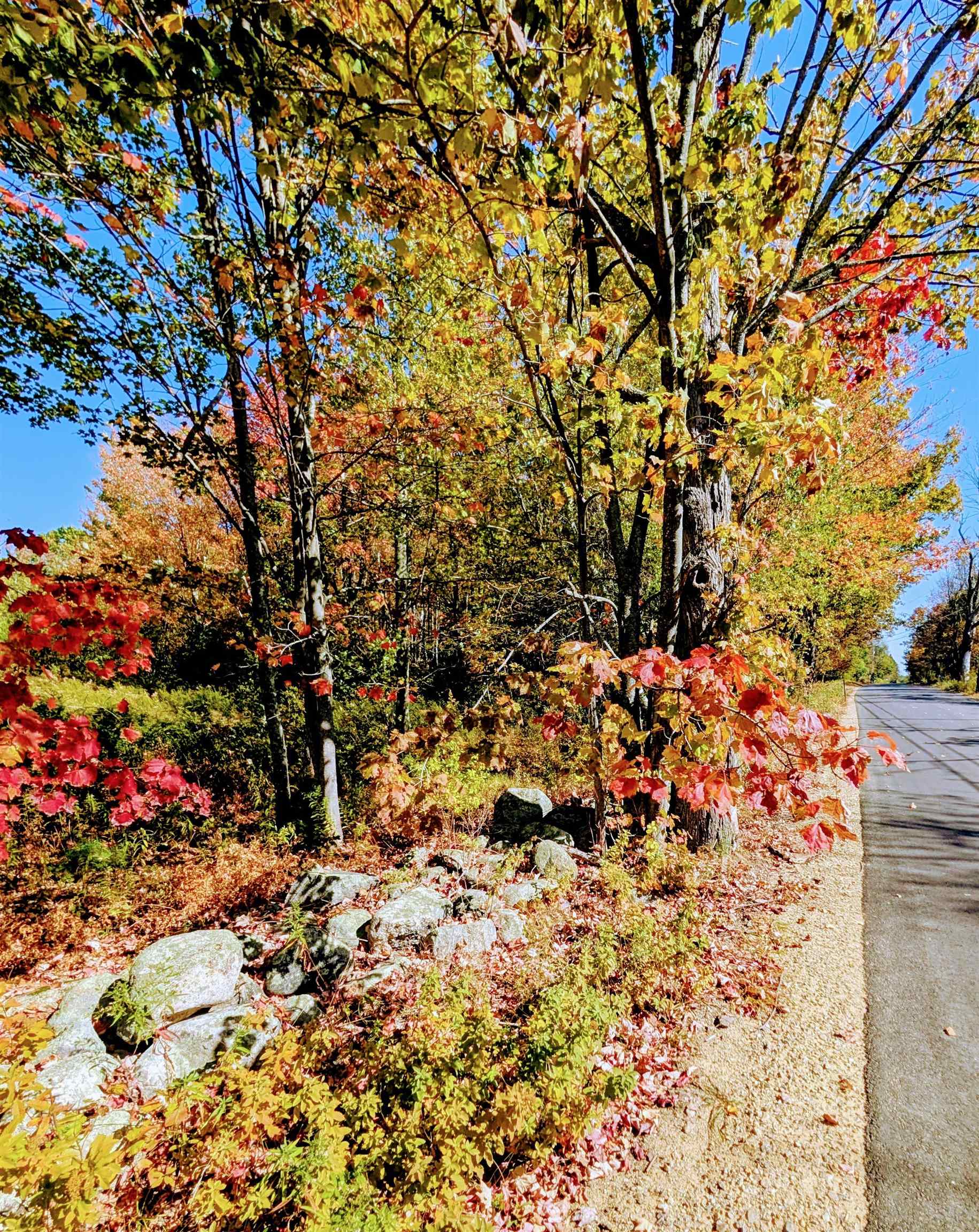 Lot 3 Ridge Road