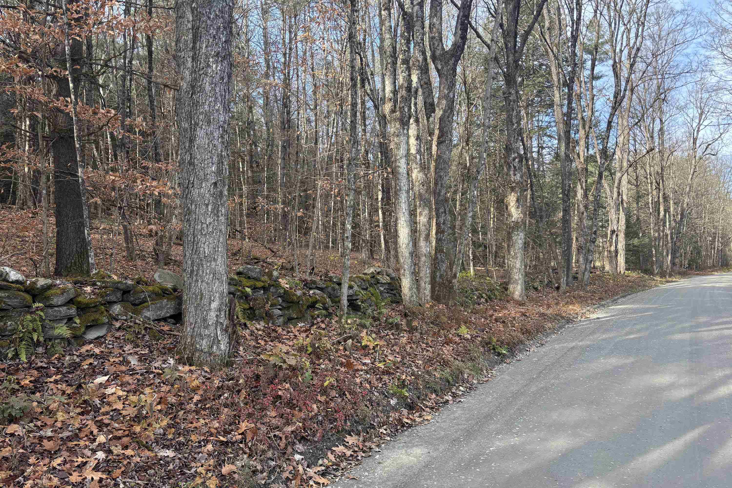 00 East Putney Brook Road 2