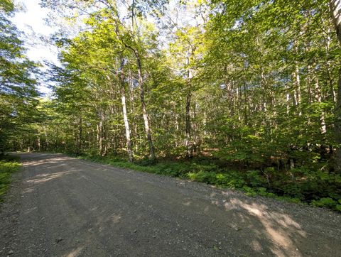 00 Highland Drive 3 Montgomery VT 05471