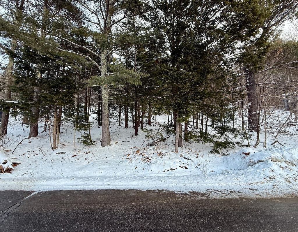 Photo of 153 Mountain Drive, Gilford, NH 03249 (MLS # 5074983)
