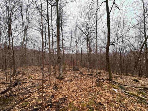 2730 Farrar Road 5 Newport Town VT 05857
