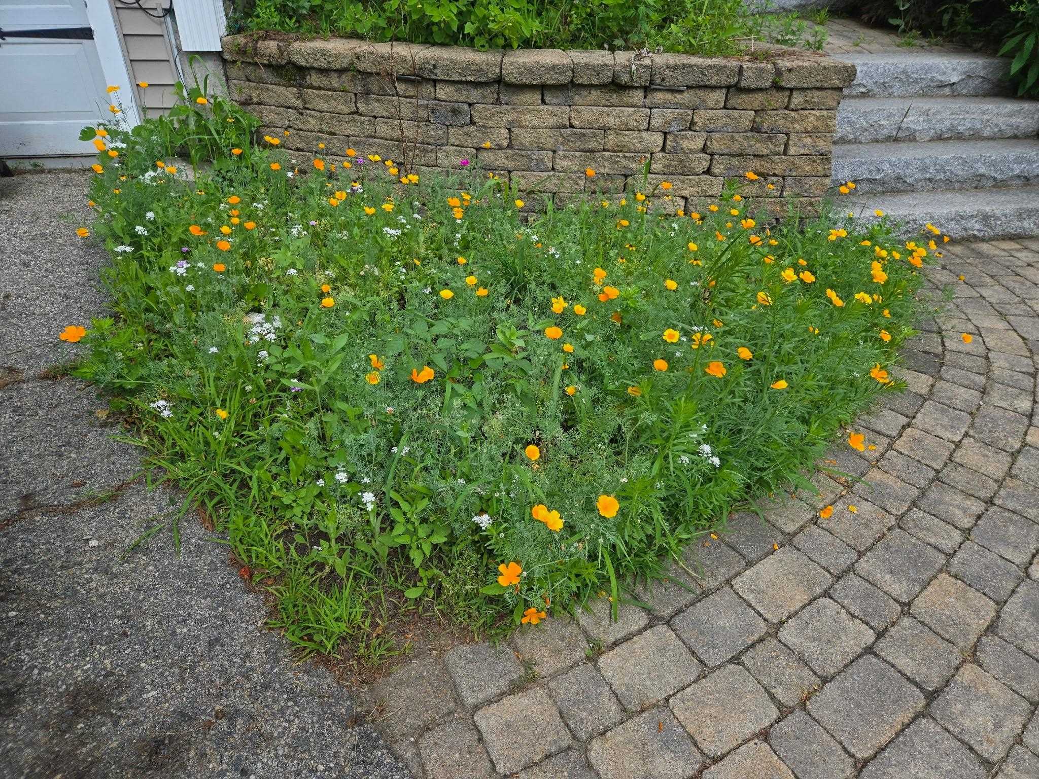 27 Red Squirrel Lane