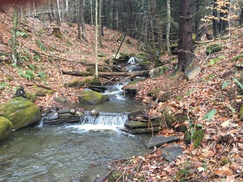 90 Reading Farms Road Reading VT 05062