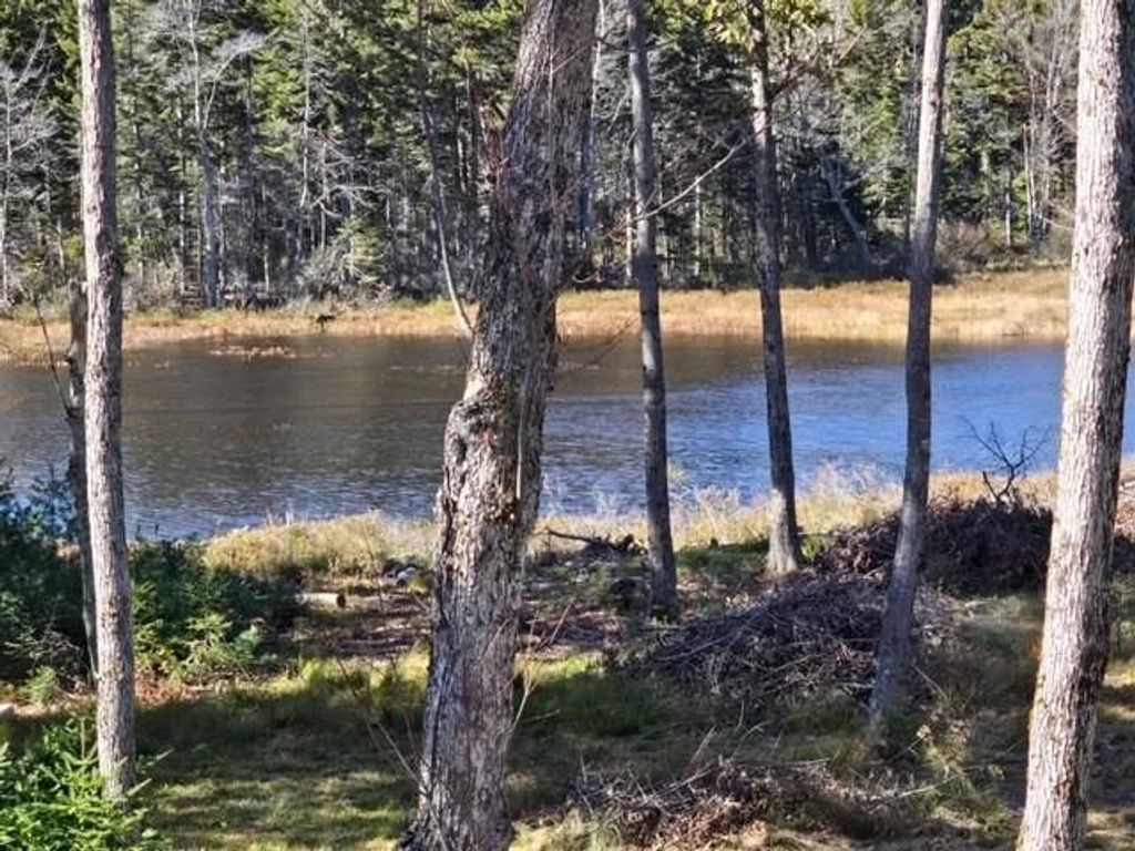 Photo of 927 Ashueot Drive, Washington, NH 03280 (MLS # 5087733)