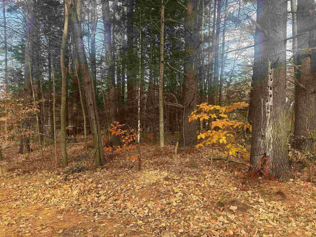 Photo of 2 Baxter Lane, Merrimack, NH 03054 (MLS # 5069037)