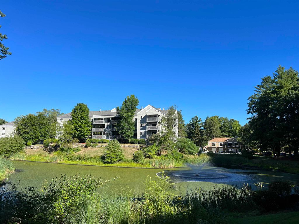 Photo of 47 Dogwood Drive #202, Nashua, NH 03062 (MLS # 5032940)