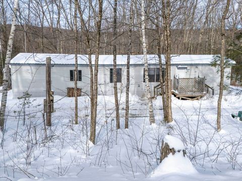 Photo of 82 Camp Brook Road, Alstead, NH 03602 (MLS # 5075744)