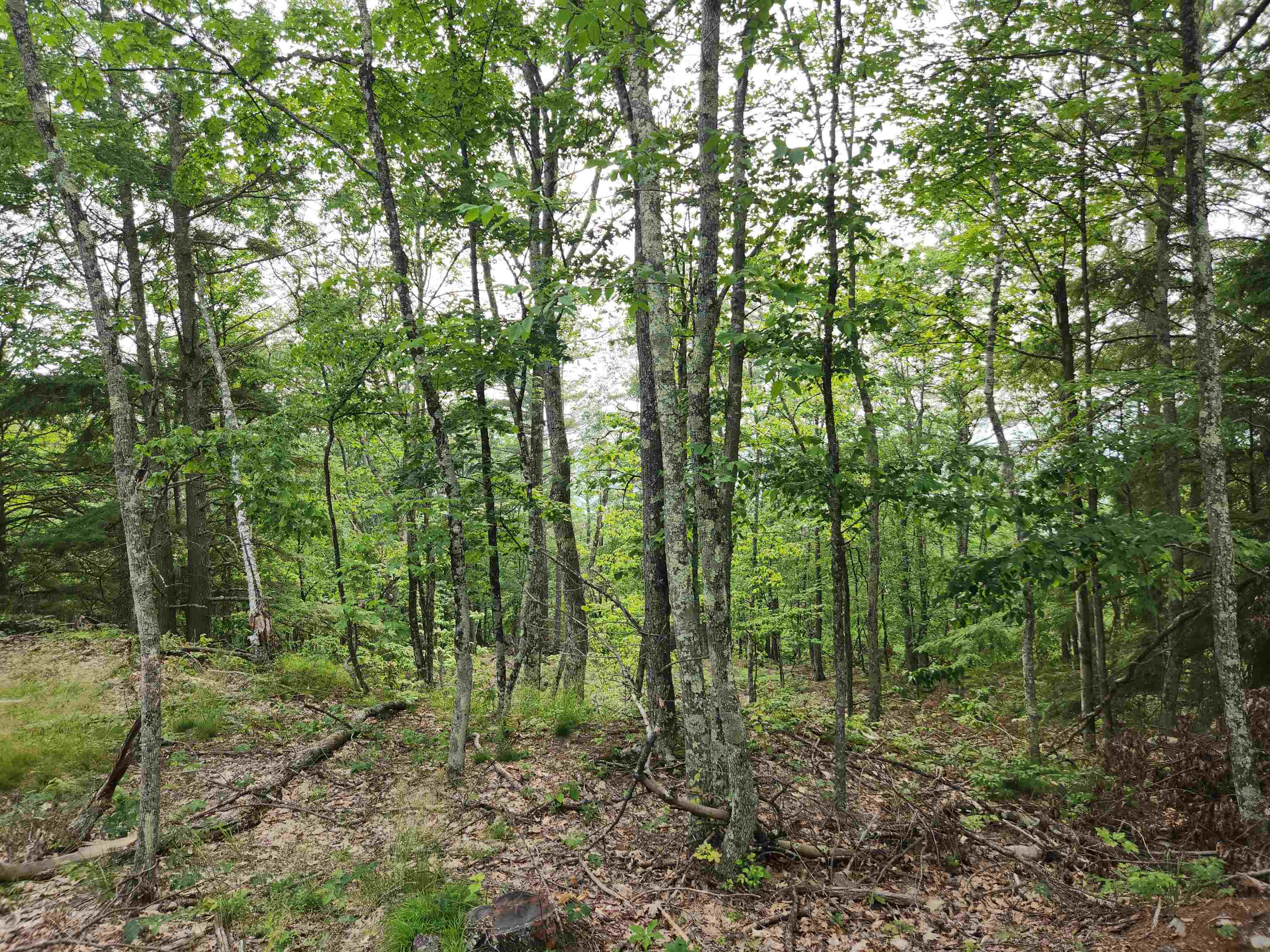00 Monroe Road