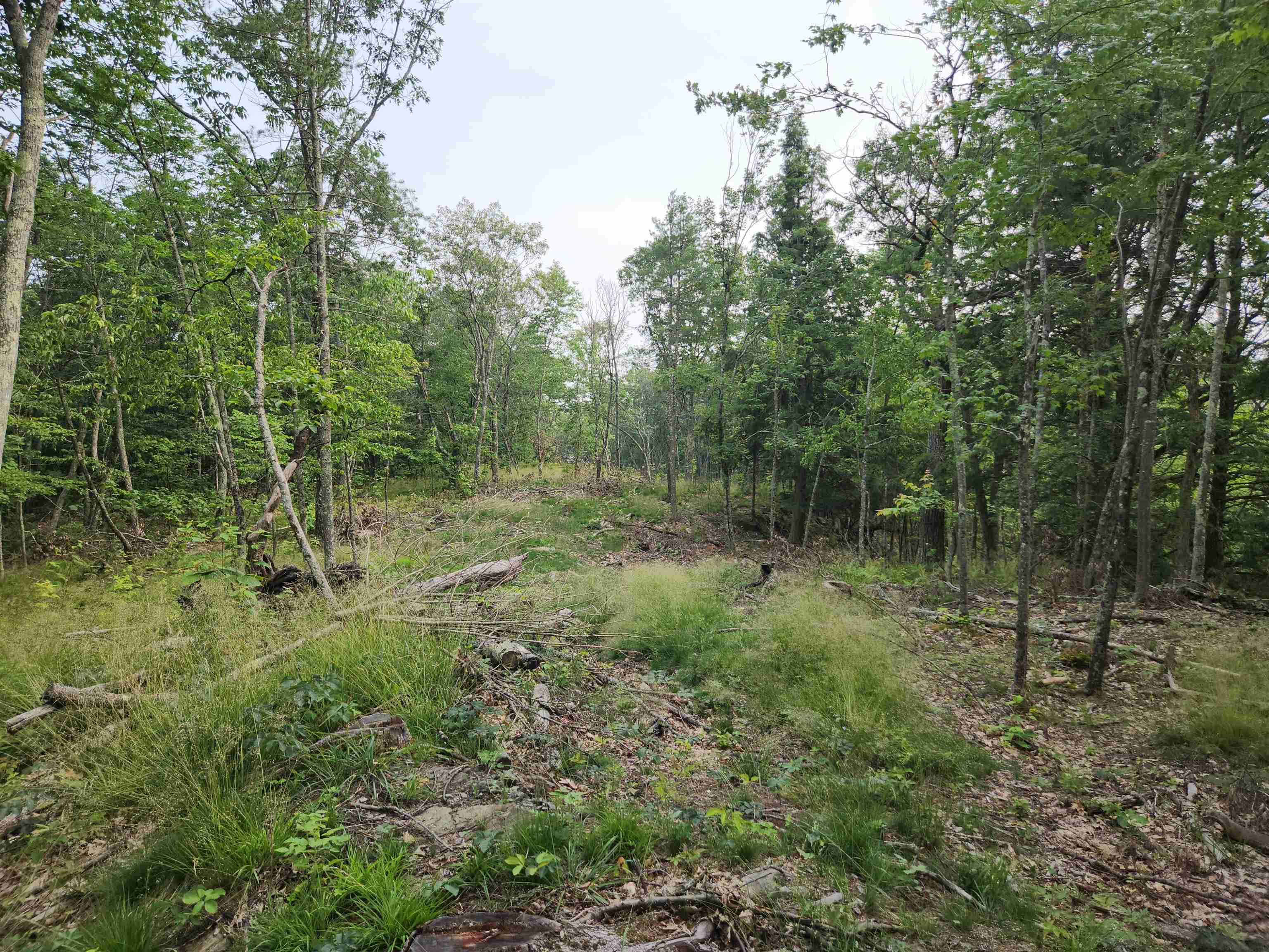 00 Monroe Road