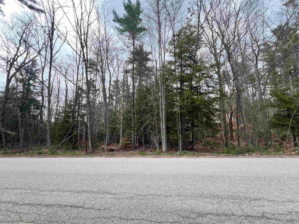 Photo of 000 Thompson Road, Conway, NH 03860 (MLS # 5086935)