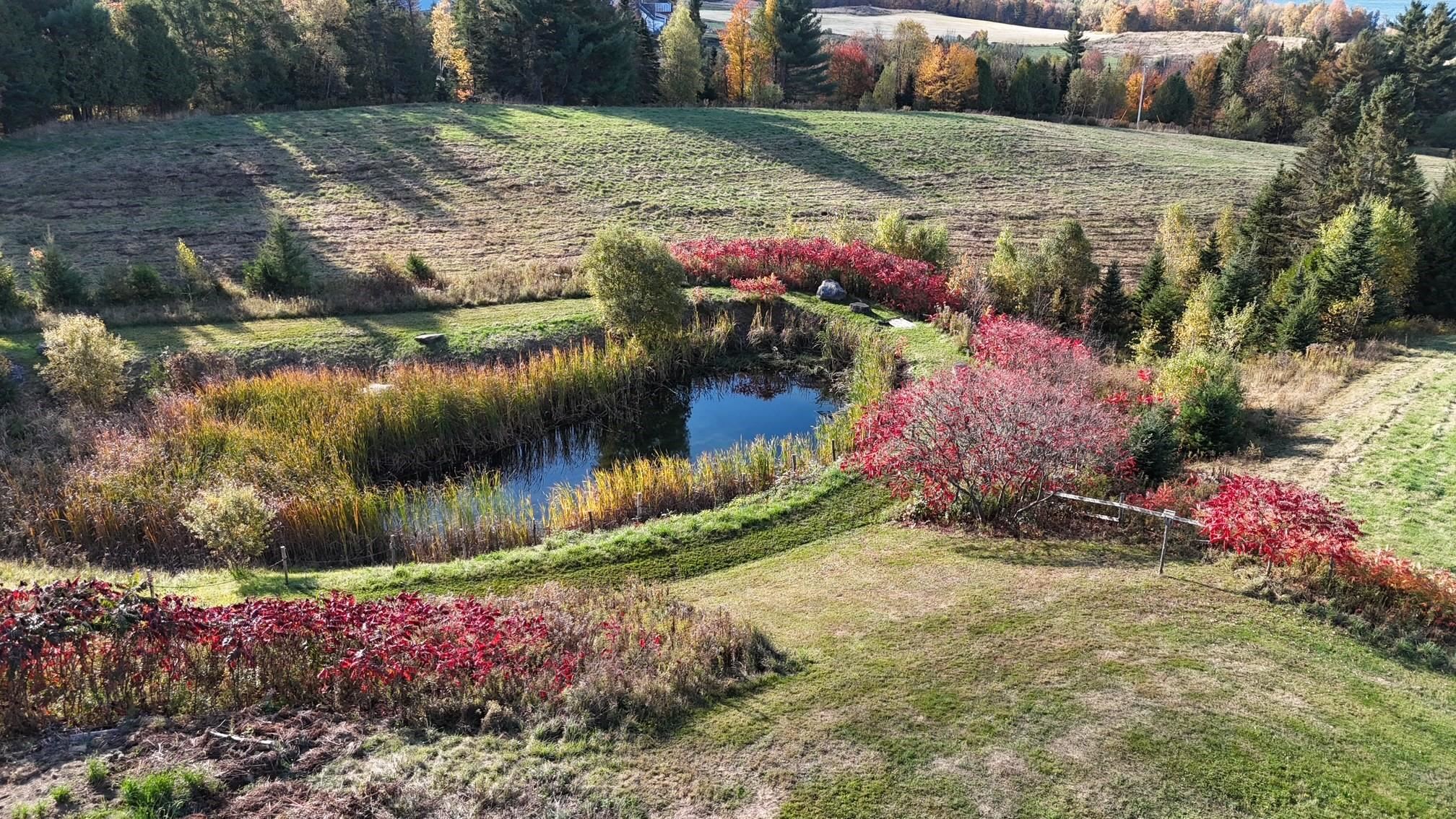 350 Hinton Hill Road