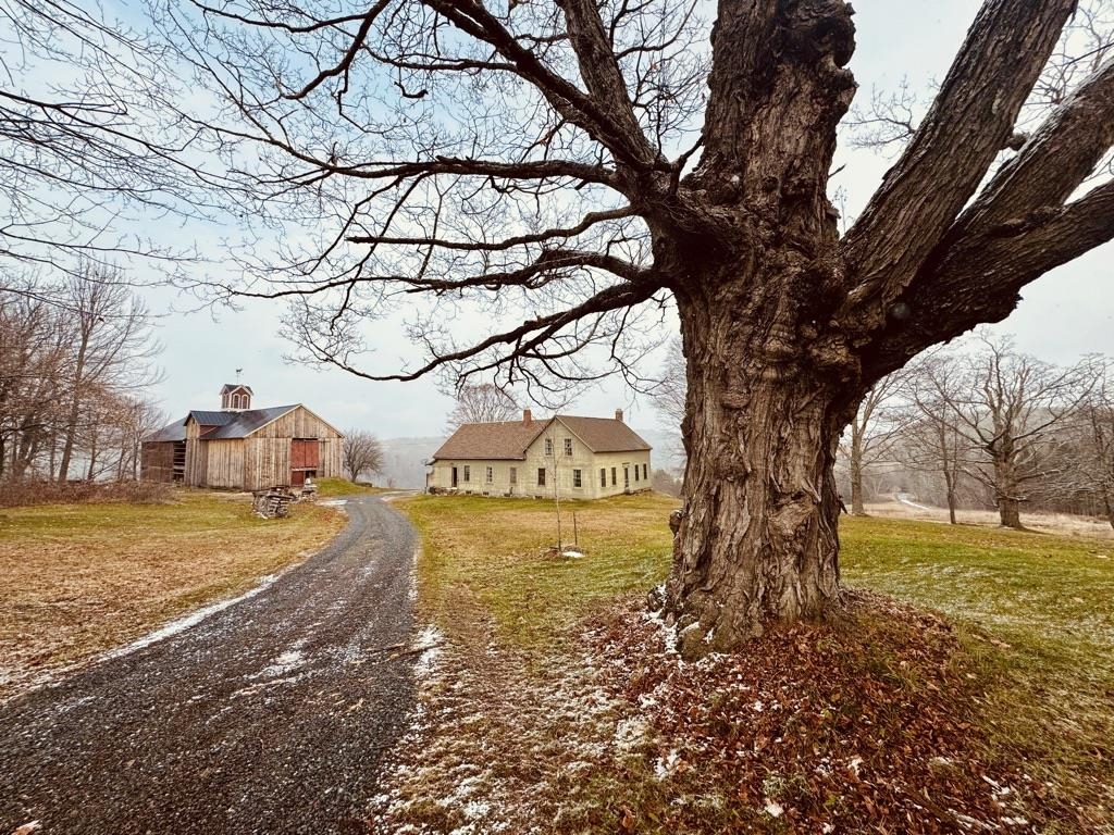 762 McLaren Hill Road