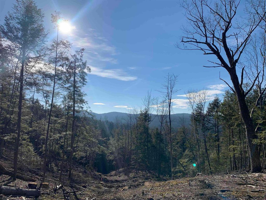 Photo of 393 Scotland Road, Winchester, NH 03470 (MLS # 4987417)