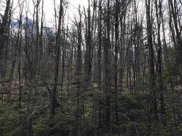 00 Williamstown Road