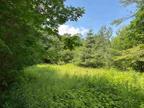00 Simonsville Road Lot 3 Andover VT 05143