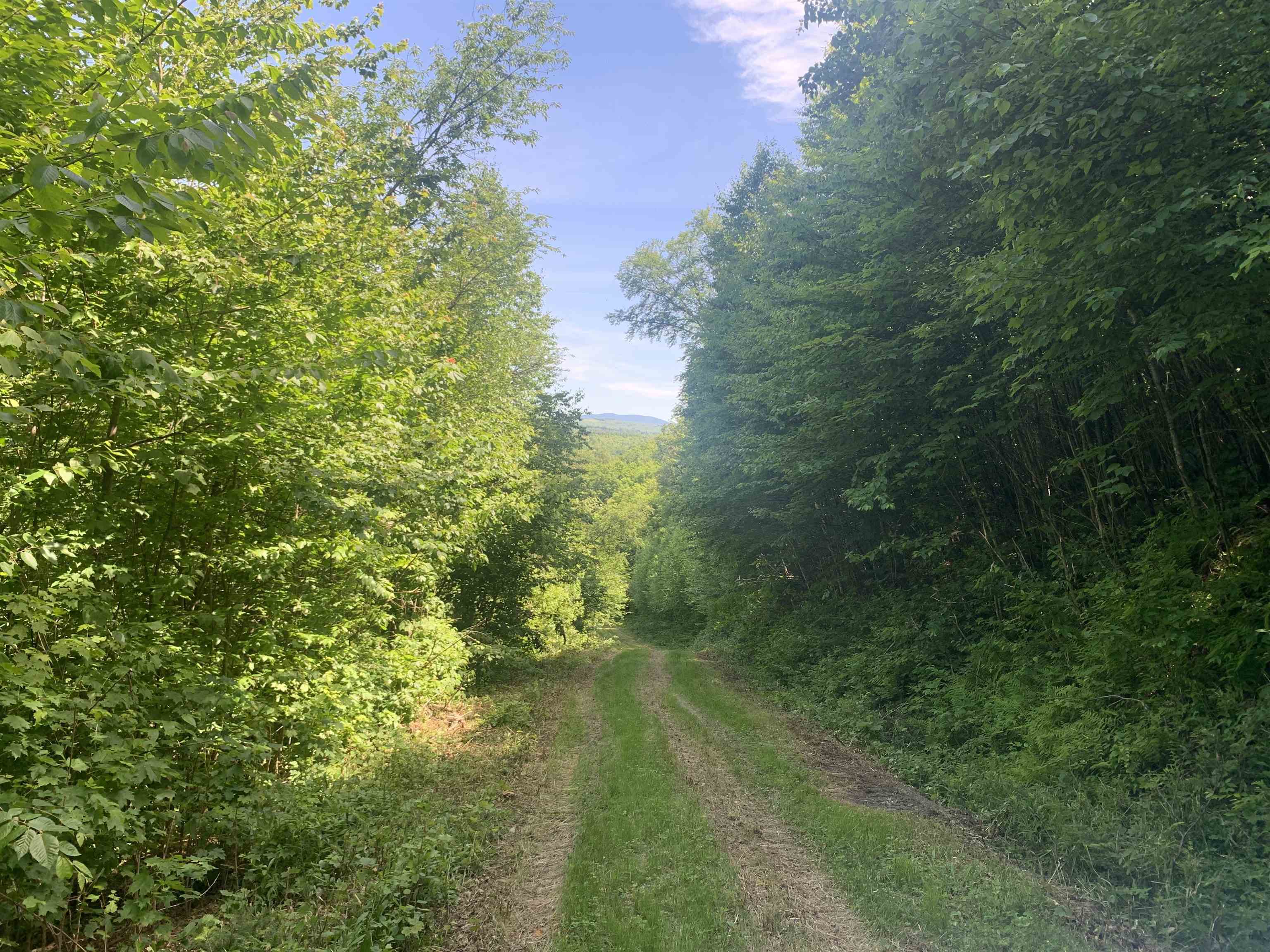 TBD Off Ridge Road