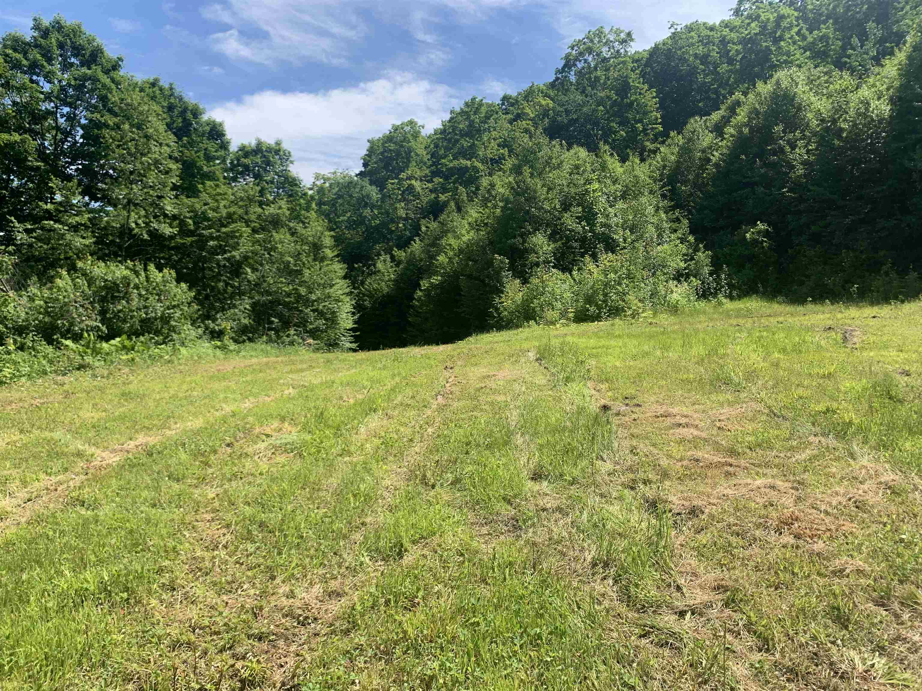 TBD Off Ridge Road