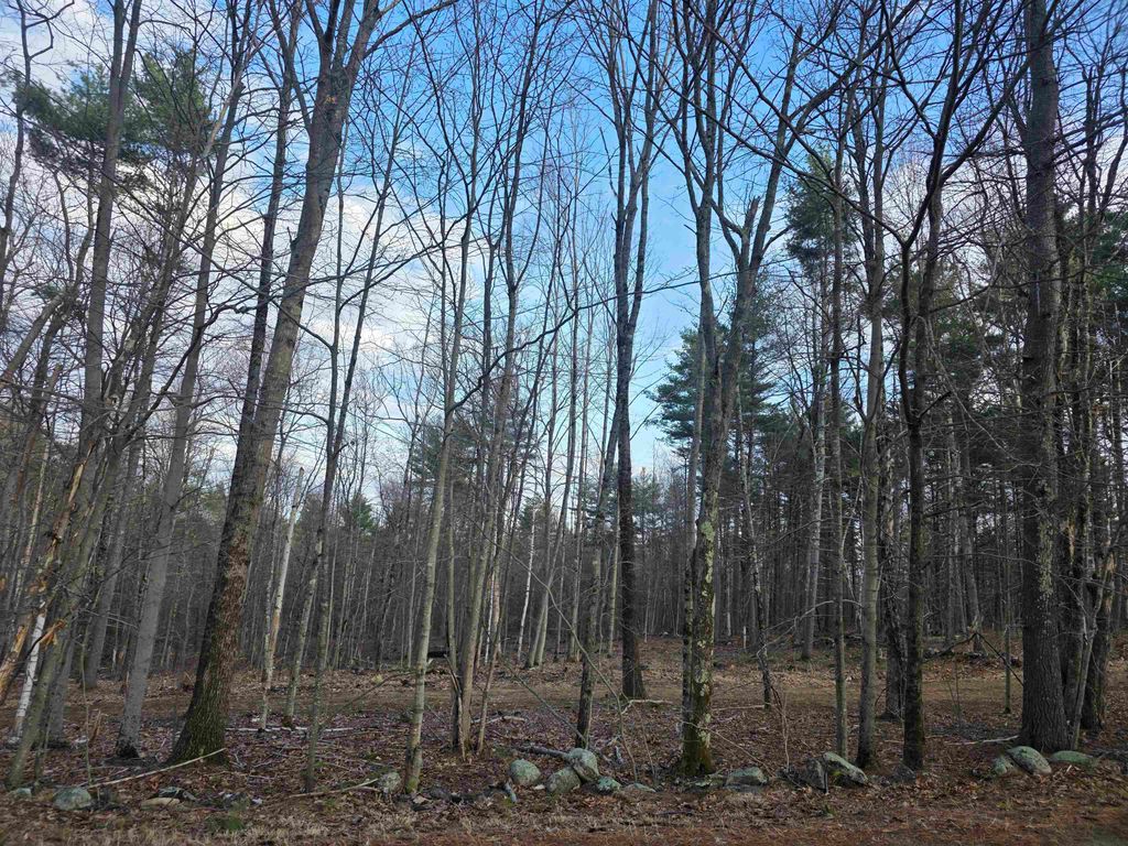 Photo of 849 Cross Country Road #Map 935 Lot 6-3, Pembroke, NH 03275 (MLS # 5082297)