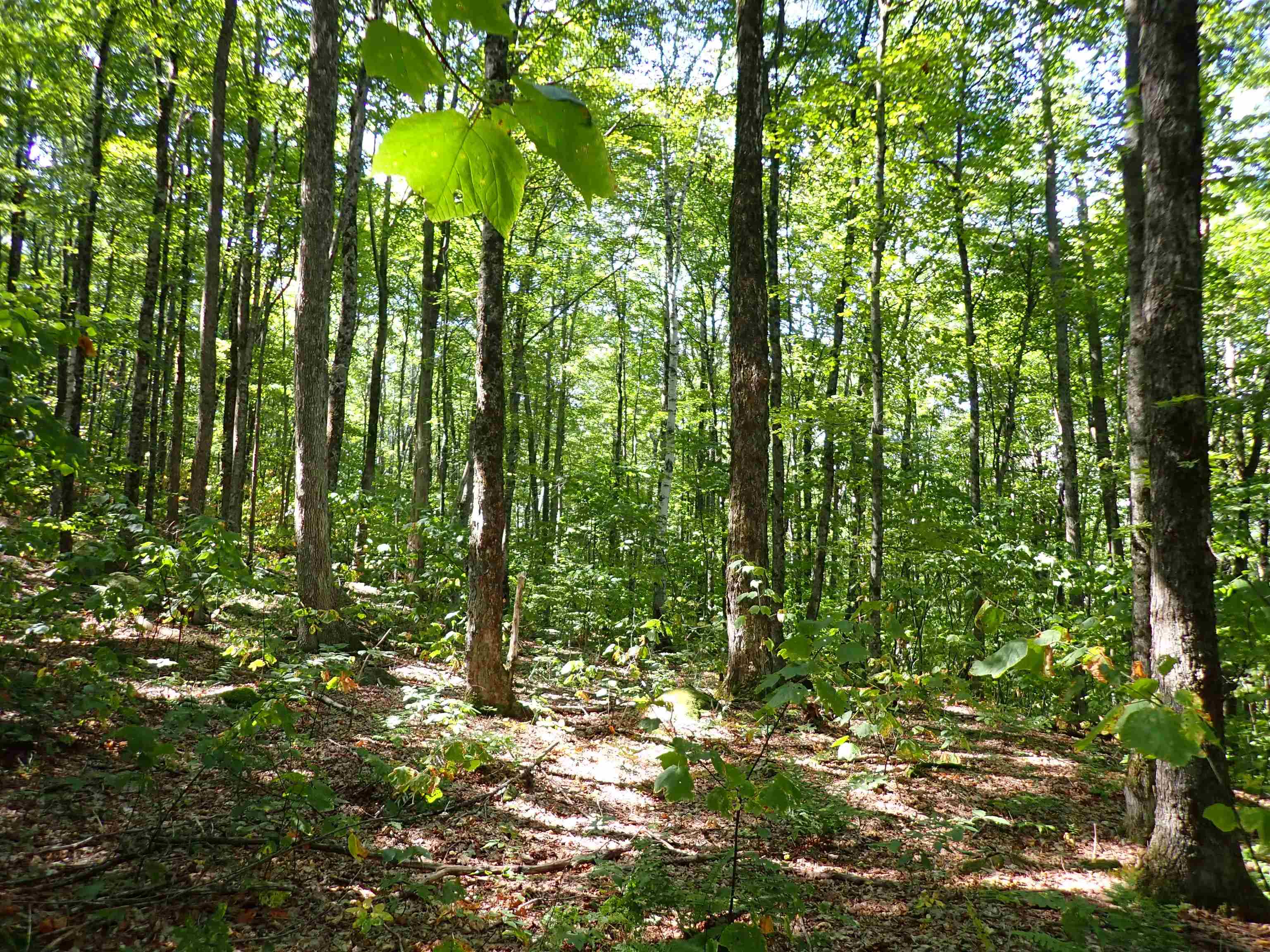 2758 Graniteville Road