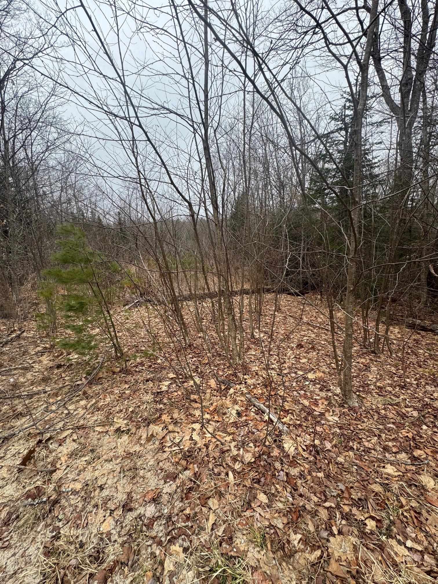 3225 George Hill Road