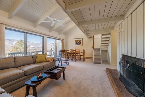 14 Vaughn Farm Road 1 Manchester VT 05255