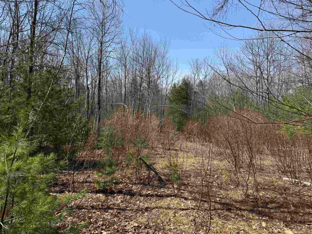Photo of 0 White Mountain Highway, Wakefield, NH 03872 (MLS # 5075563)