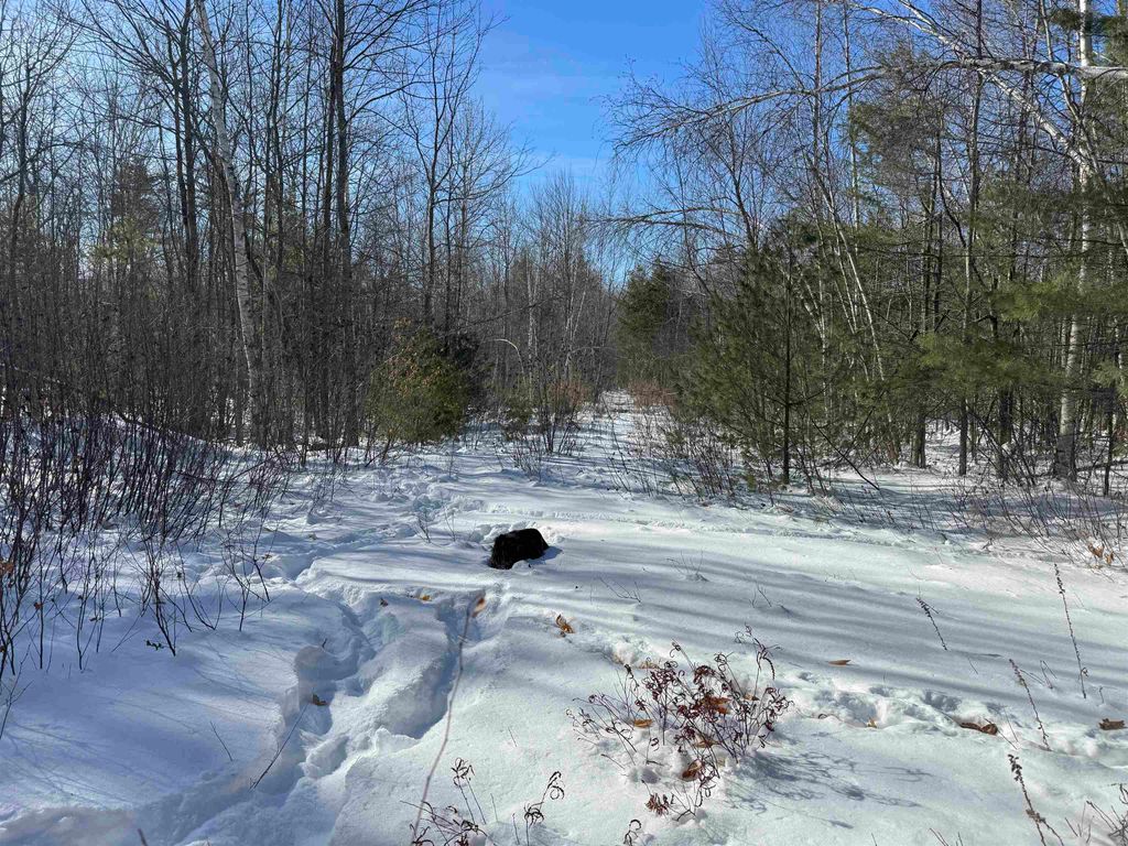 Photo of 0 White Mountain Highway, Wakefield, NH 03872 (MLS # 5075563)