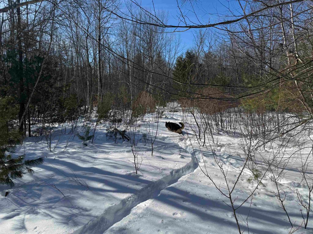 Photo of 0 White Mountain Highway, Wakefield, NH 03872 (MLS # 5075563)