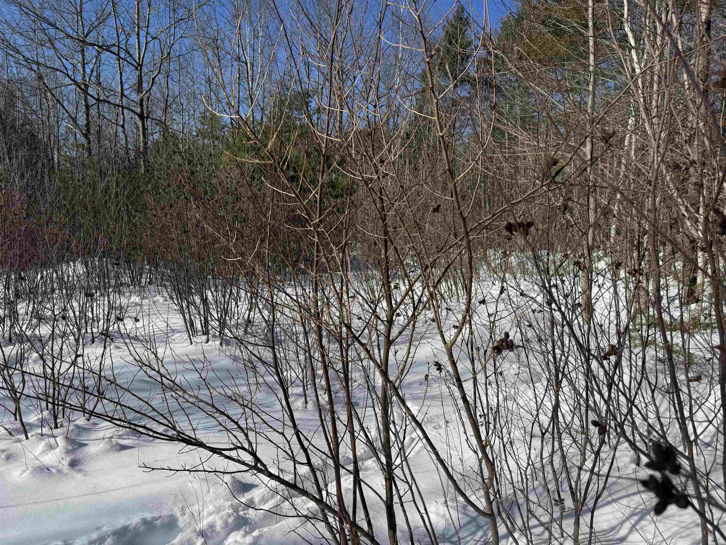 0 White Mountain Highway