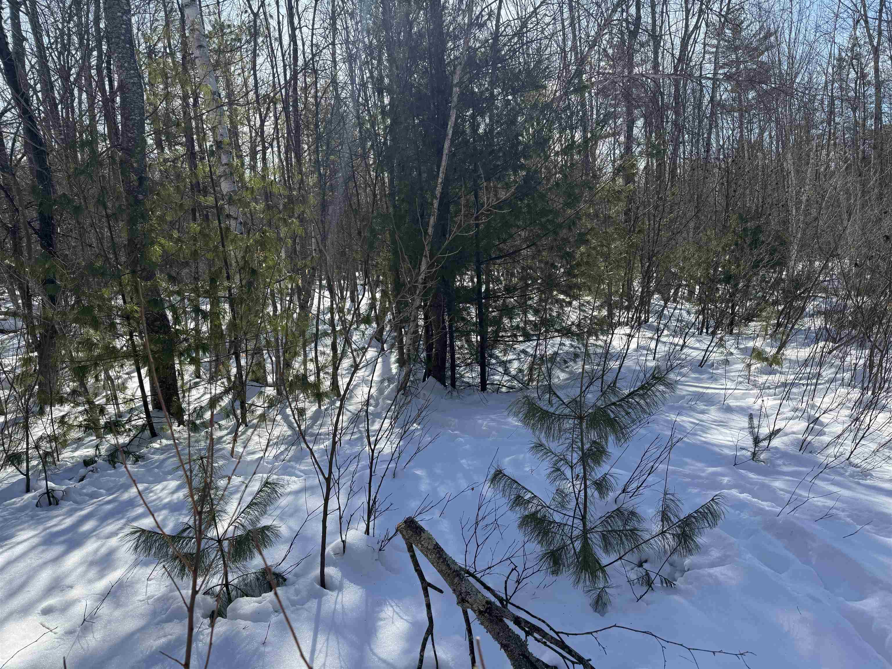 0 White Mountain Highway