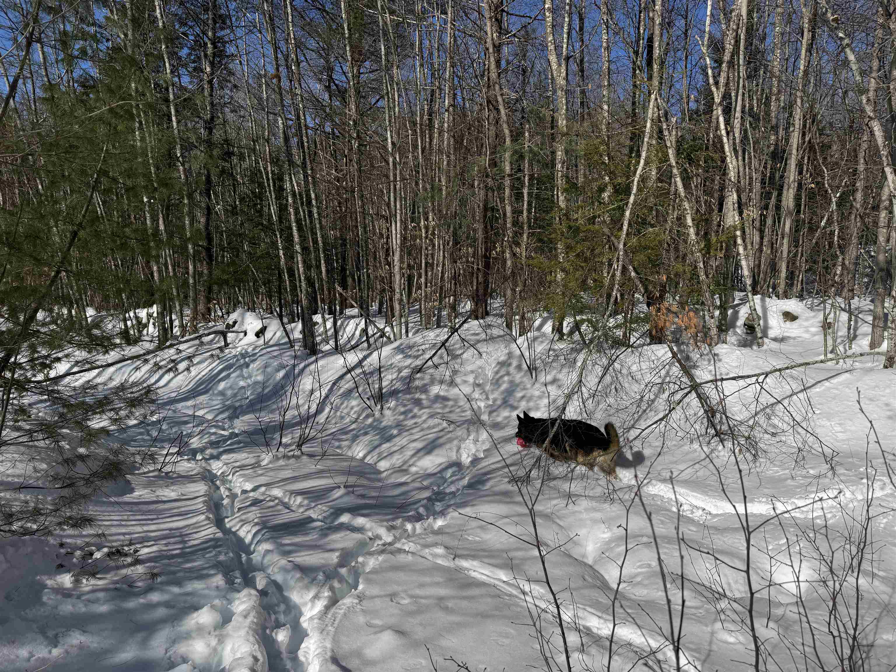 0 White Mountain Highway