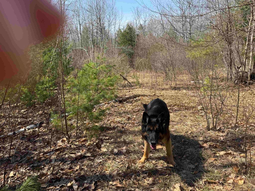 Photo of 0 White Mountain Highway, Wakefield, NH 03872 (MLS # 5075563)