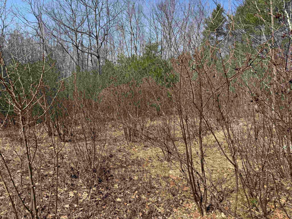 Photo of 0 White Mountain Highway, Wakefield, NH 03872 (MLS # 5075563)