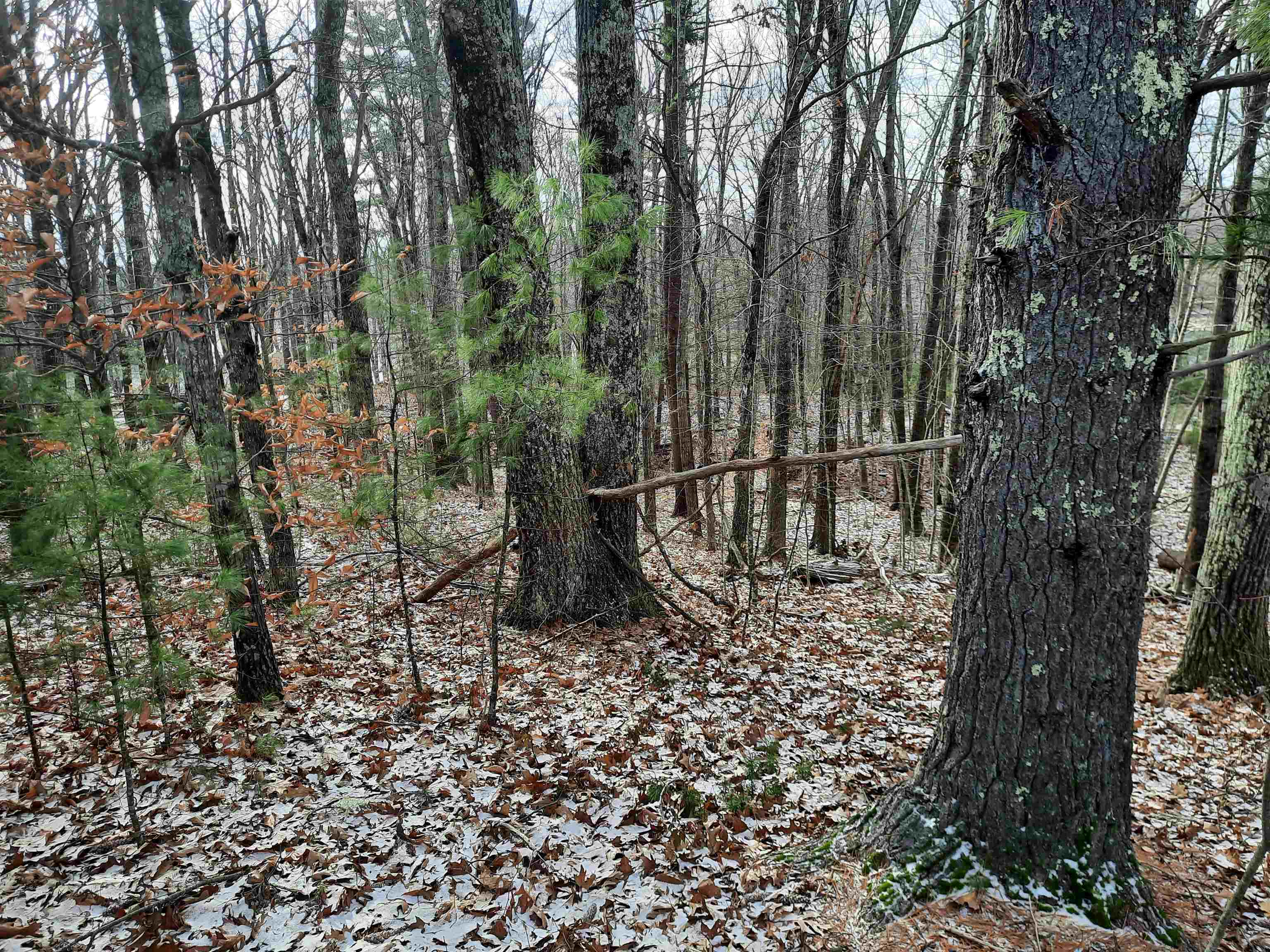 551 Beauty Hill Road Lot B