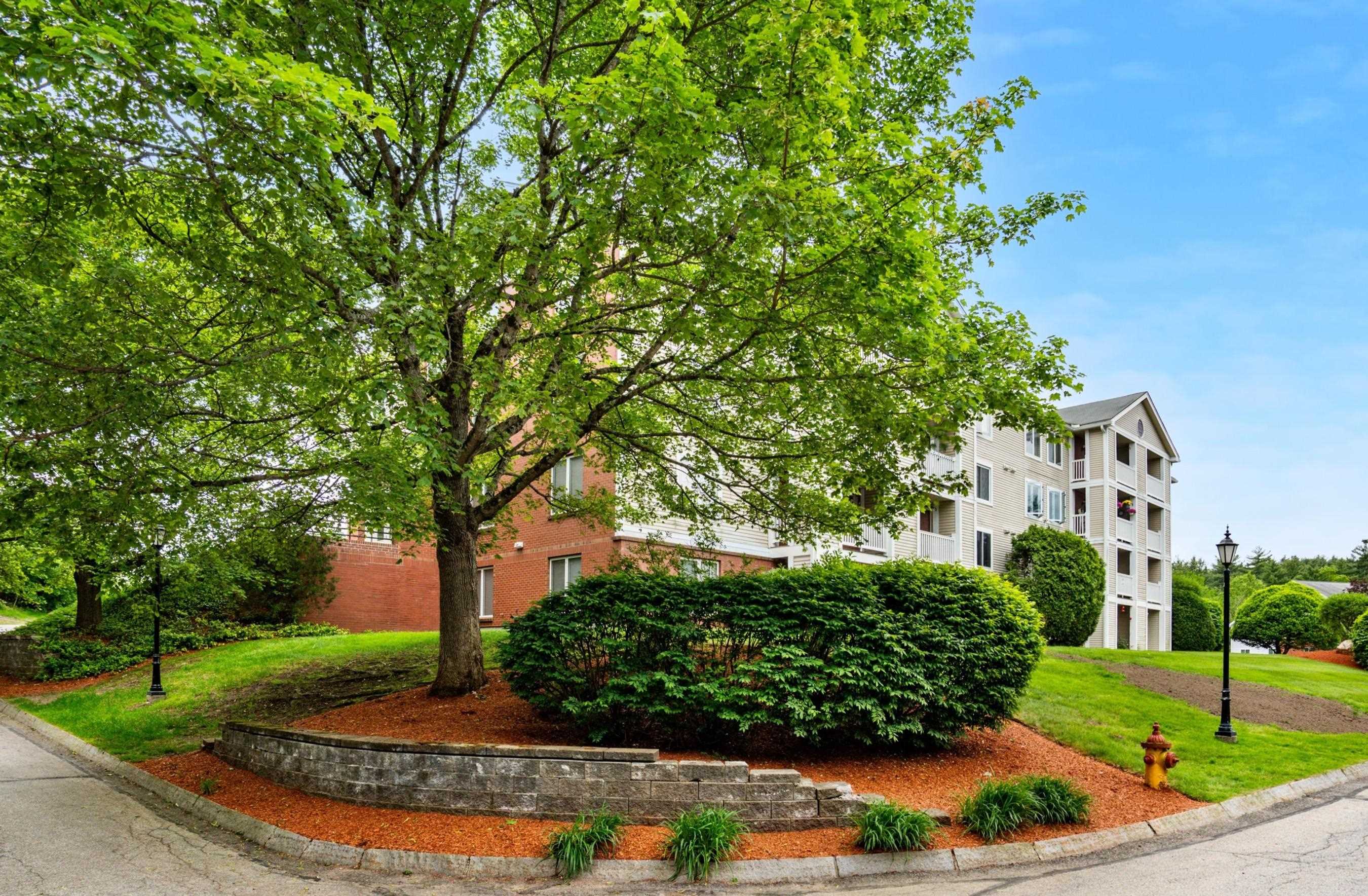 11 Timberwood Drive 401
