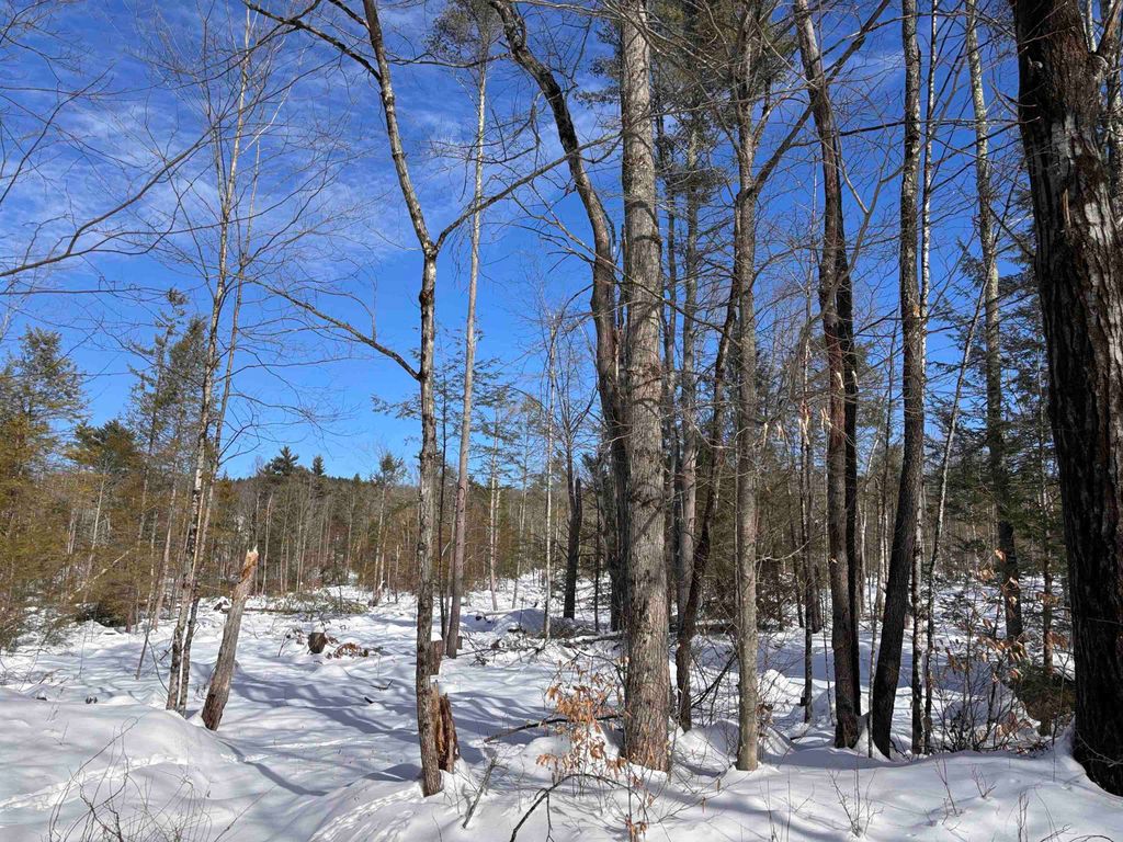 Photo of 409661 Old Turnpike Road, Richmond, NH 03470 (MLS # 5075612)