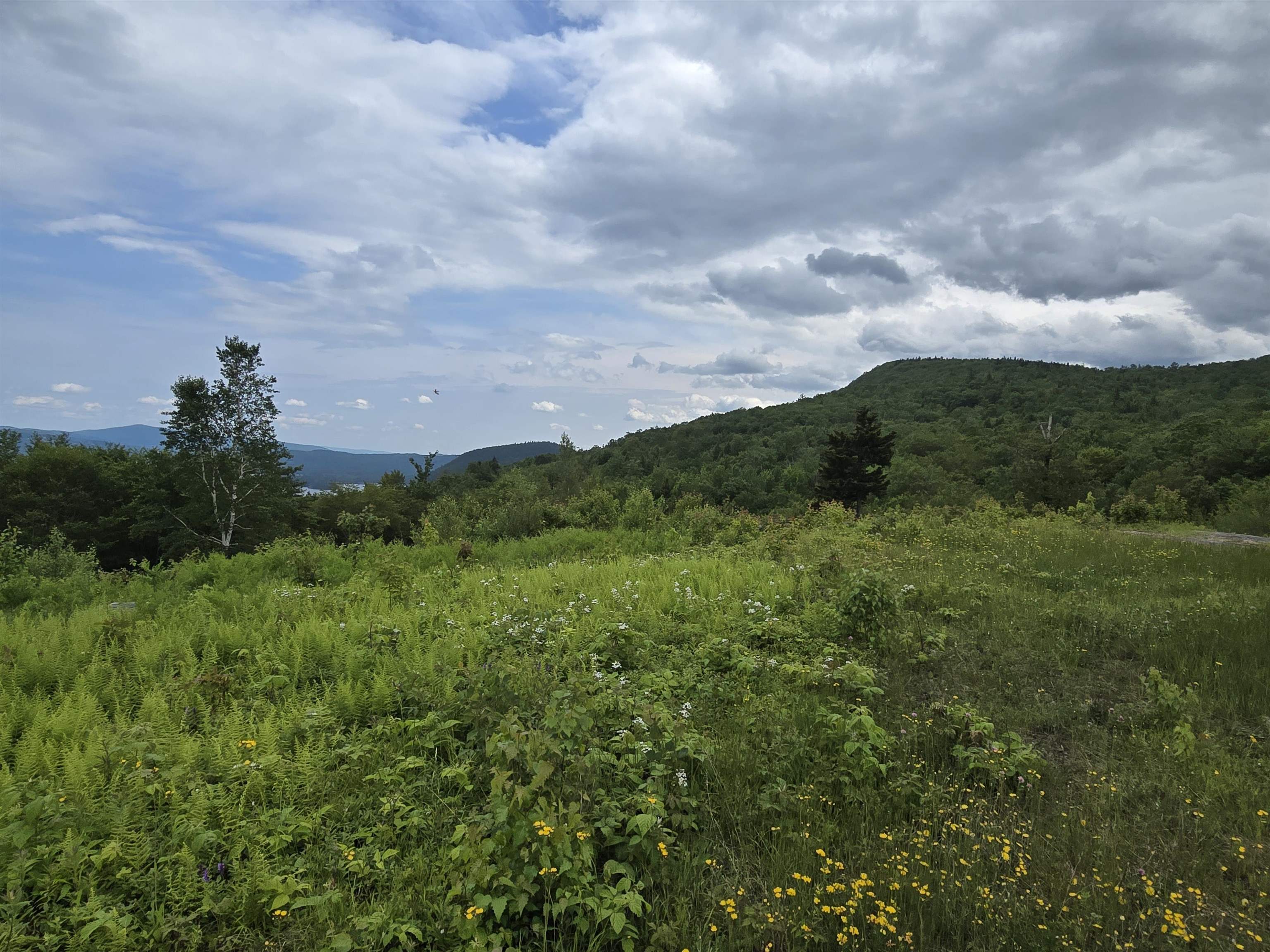 Lot 2 Skyline Drive 2