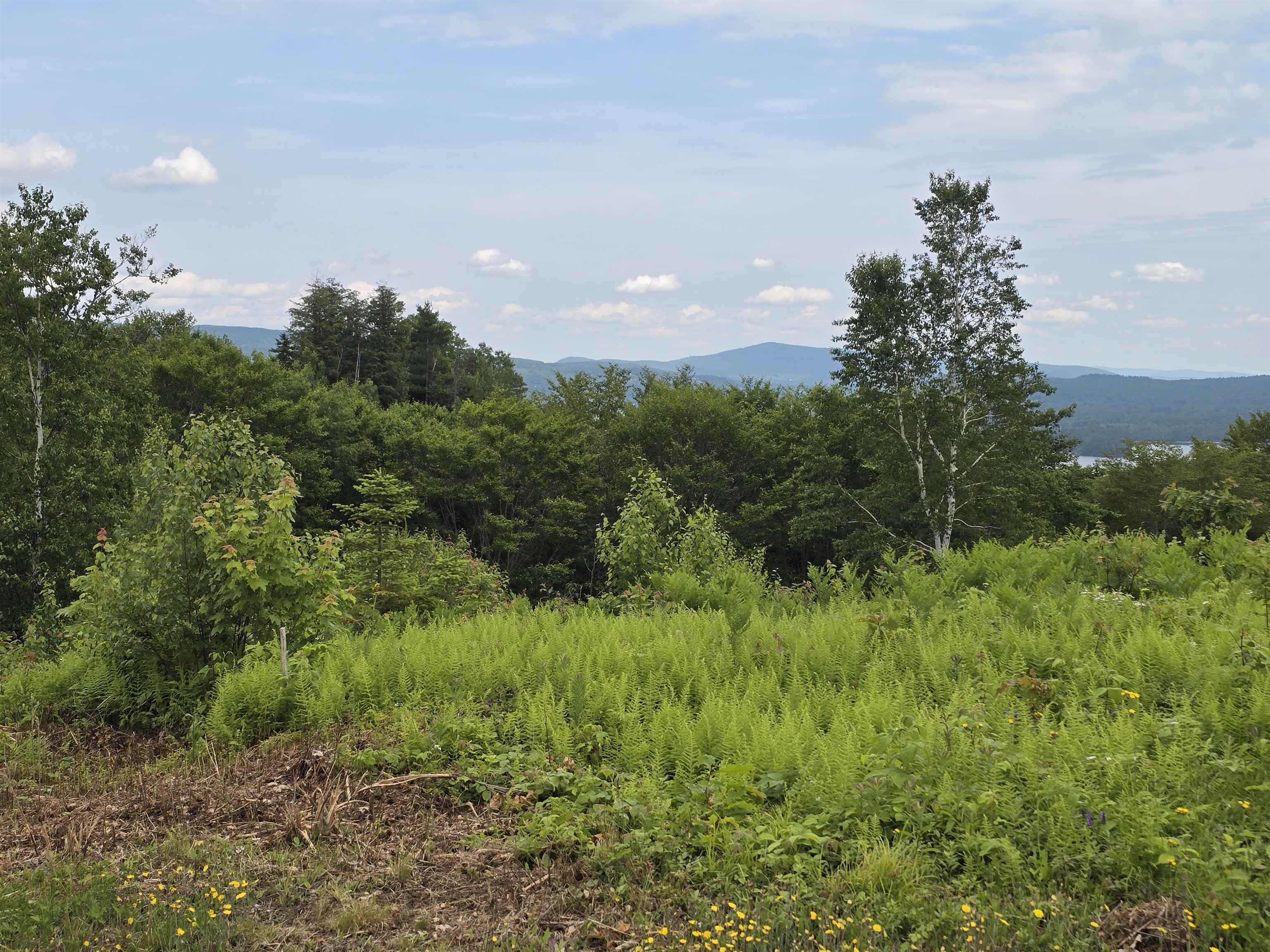 Lot 2 Skyline Drive 2