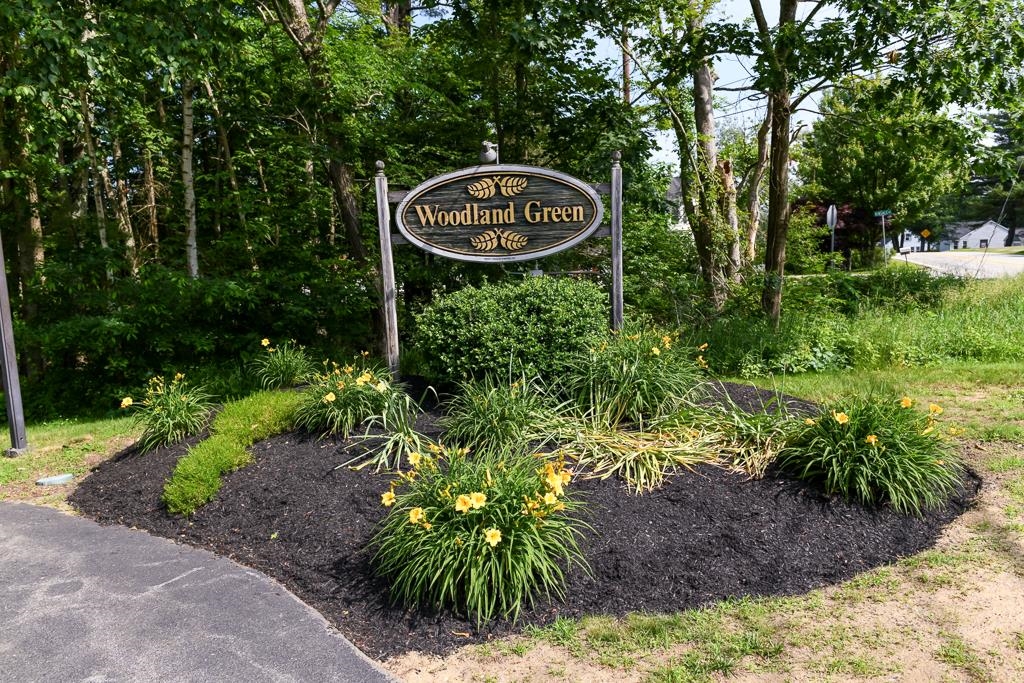 56 Woodland